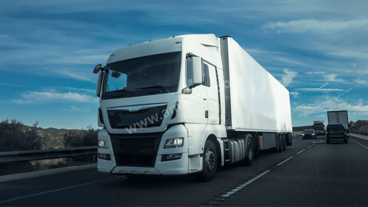 Bayındır Şehirler Arası Taşıma